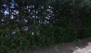 Votre épaviste ouvert à proximité PURFER – LE COTEAU situé à Le Coteau (42120) en Auvergne-Rhône-Alpes est un expert de l&rsquo;automobile disponible pour la récupération et le rachat de votre voiture dans le département Loire. Cette Service de gestion des [&hellip;]