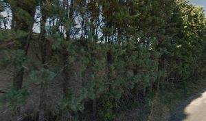 Votre épaviste ouvert à proximité Sud Maintenance Valorisation situé à Vers-Pont-du-Gard (30210) en Occitanie est un expert de l&rsquo;automobile disponible pour la récupération et le rachat de votre voiture dans le département Gard. Cette Concessionnaire de poids lourds à Vers-Pont-du-Gard [&hellip;]