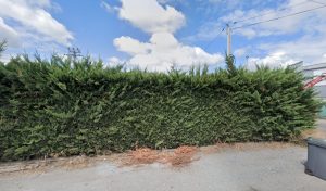 Votre épaviste ouvert à proximité AFM Recyclage Derichebourg environnement situé à Lons (64140) en Nouvelle-Aquitaine est un expert de l&rsquo;automobile disponible pour la récupération et le rachat de votre voiture dans le département Pyrénées-Atlantiques. Cette Service de gestion des déchets [&hellip;]